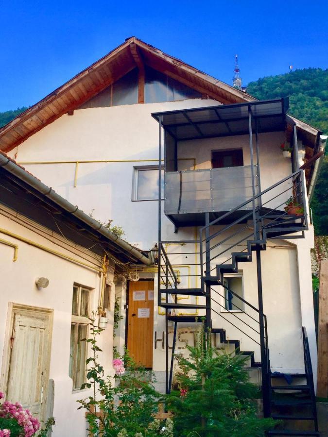 Downtown Hostel Braşov Exteriör bild