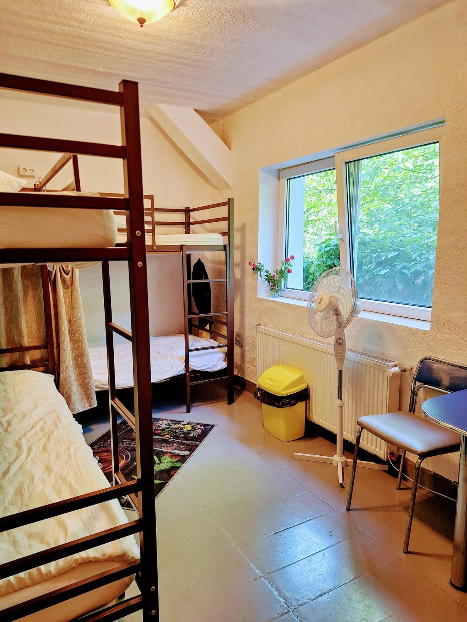 Downtown Hostel Braşov Exteriör bild
