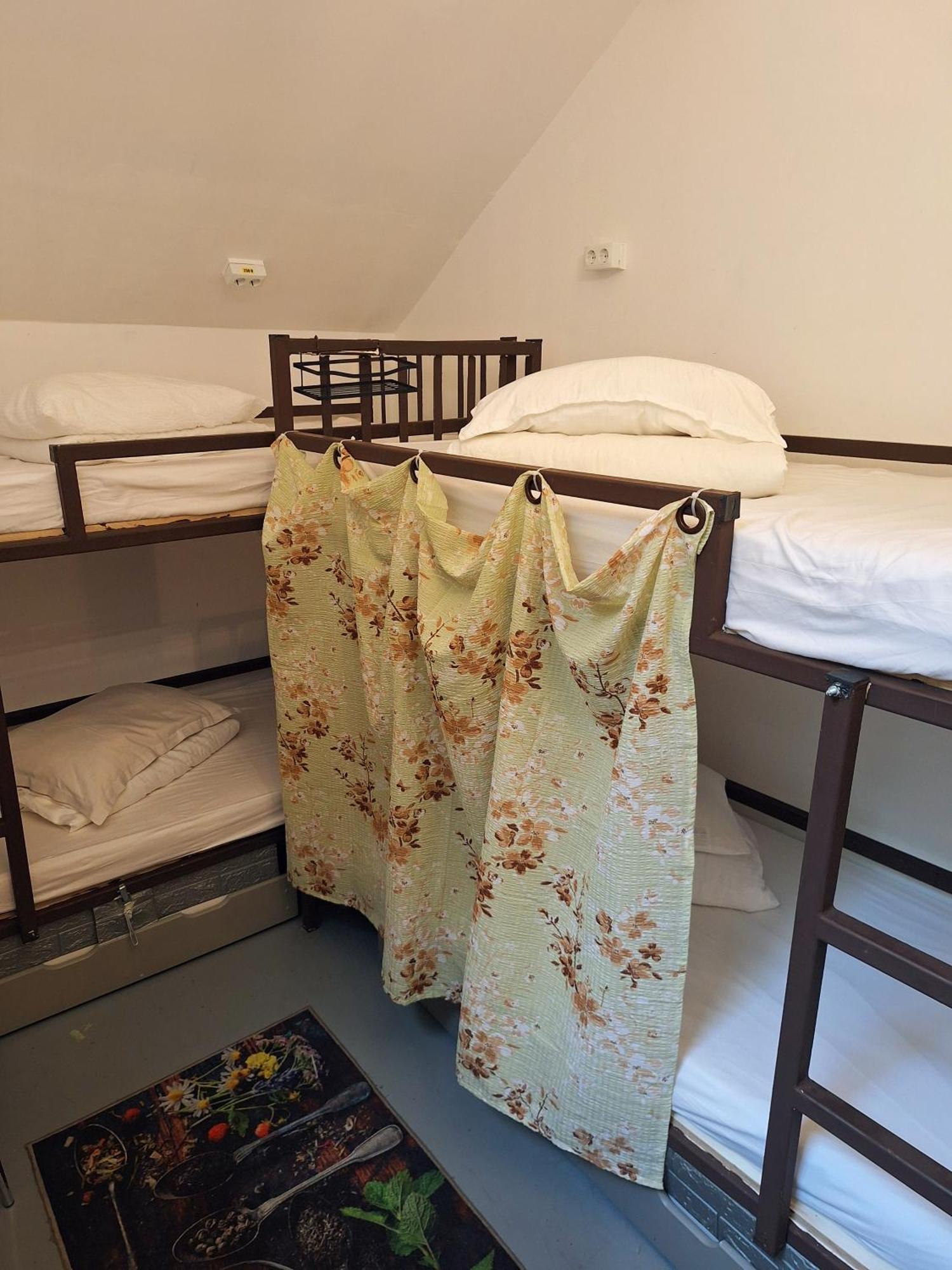 Downtown Hostel Braşov Exteriör bild