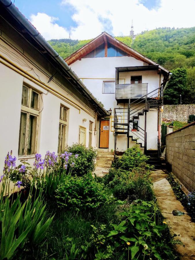 Downtown Hostel Braşov Exteriör bild