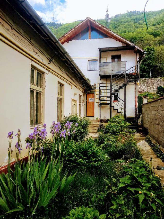Downtown Hostel Braşov Exteriör bild